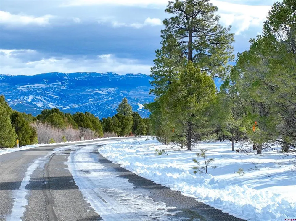 28 Fisher Canyon Drive Ridgway, CO 81432