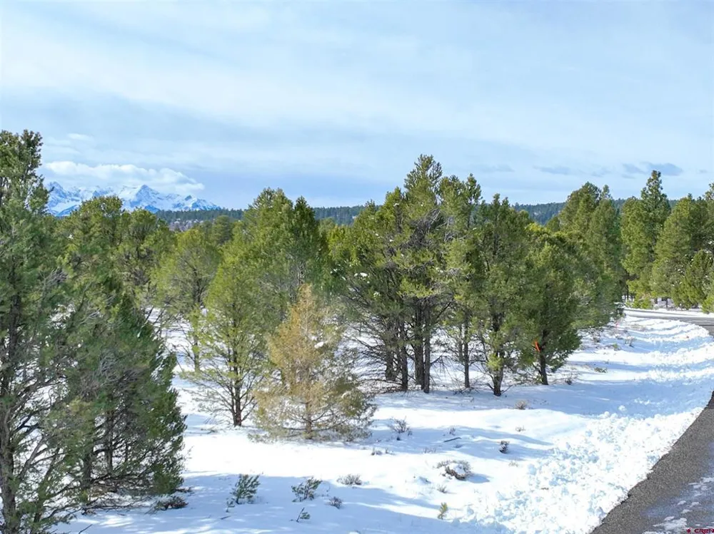 28 Fisher Canyon Drive Ridgway, CO 81432