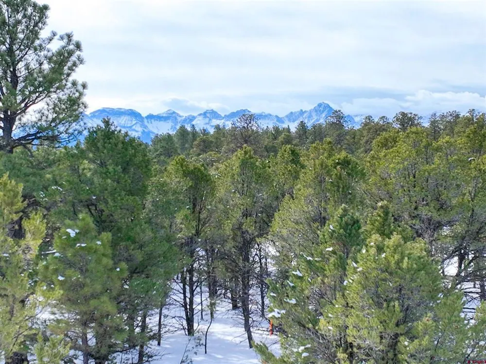 28 Fisher Canyon Drive Ridgway, CO 81432