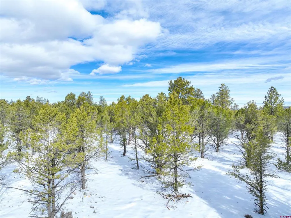 28 Fisher Canyon Drive Ridgway, CO 81432