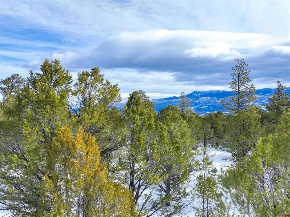 28 Fisher Canyon Drive Ridgway, CO 81432