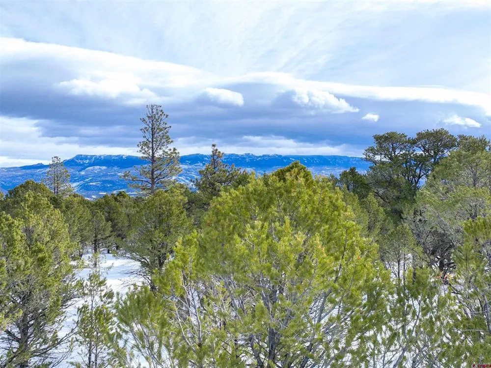 28 Fisher Canyon Drive Ridgway, CO 81432