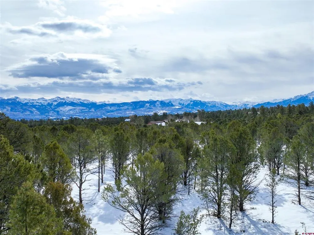 28 Fisher Canyon Drive Ridgway, CO 81432