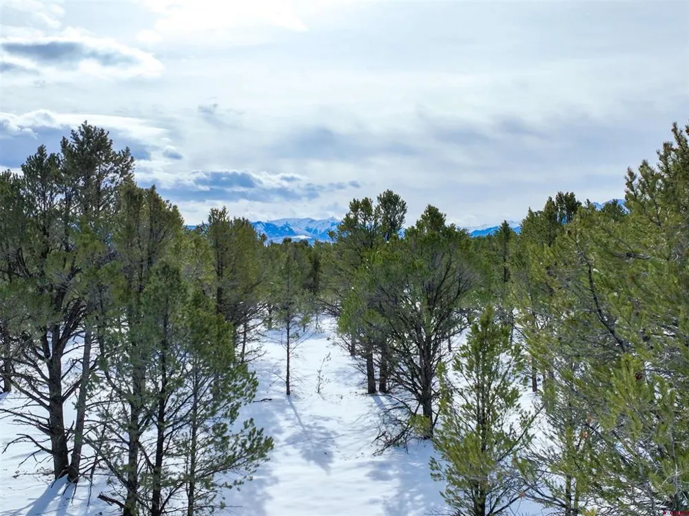 28 Fisher Canyon Drive Ridgway, CO 81432