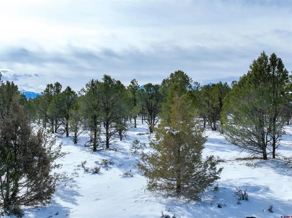 28 Fisher Canyon Drive Ridgway, CO 81432