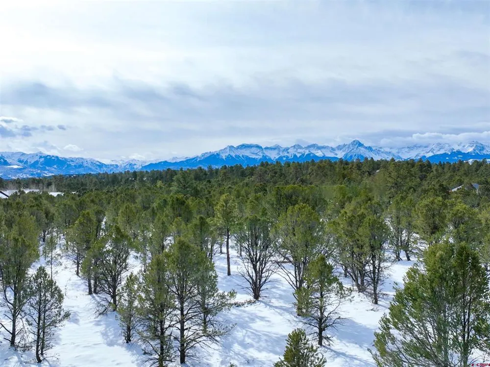 28 Fisher Canyon Drive Ridgway, CO 81432