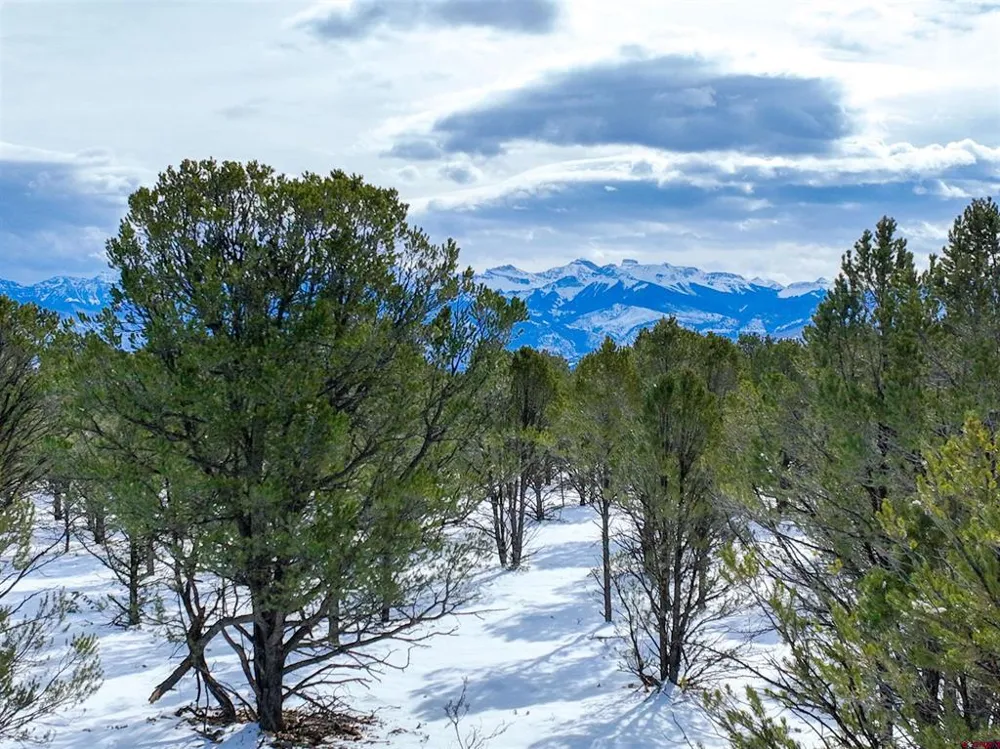 28 Fisher Canyon Drive Ridgway, CO 81432