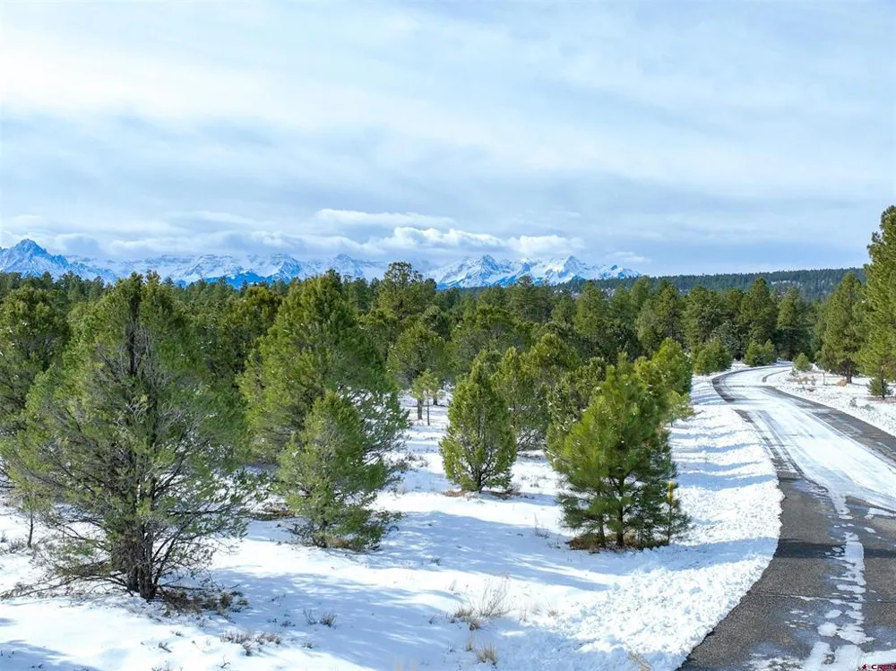 28 Fisher Canyon Drive Ridgway, CO 81432