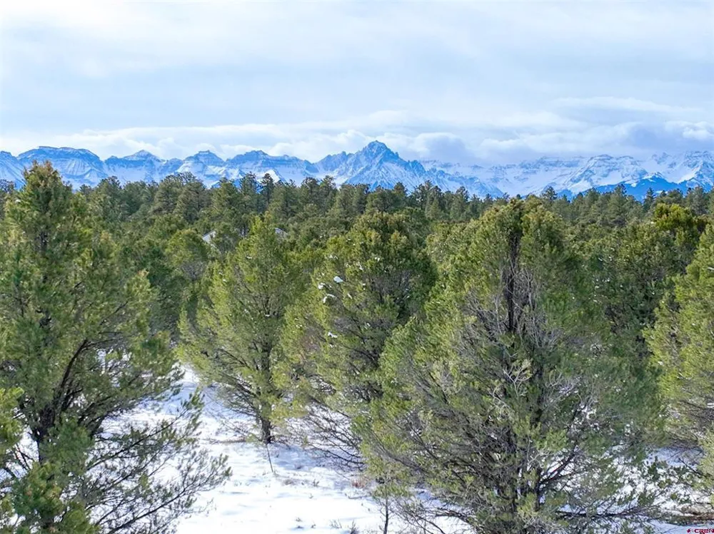 28 Fisher Canyon Drive Ridgway, CO 81432