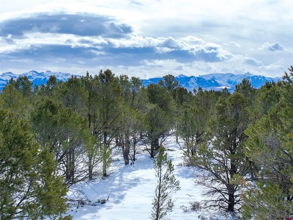 28 Fisher Canyon Drive Ridgway, CO 81432