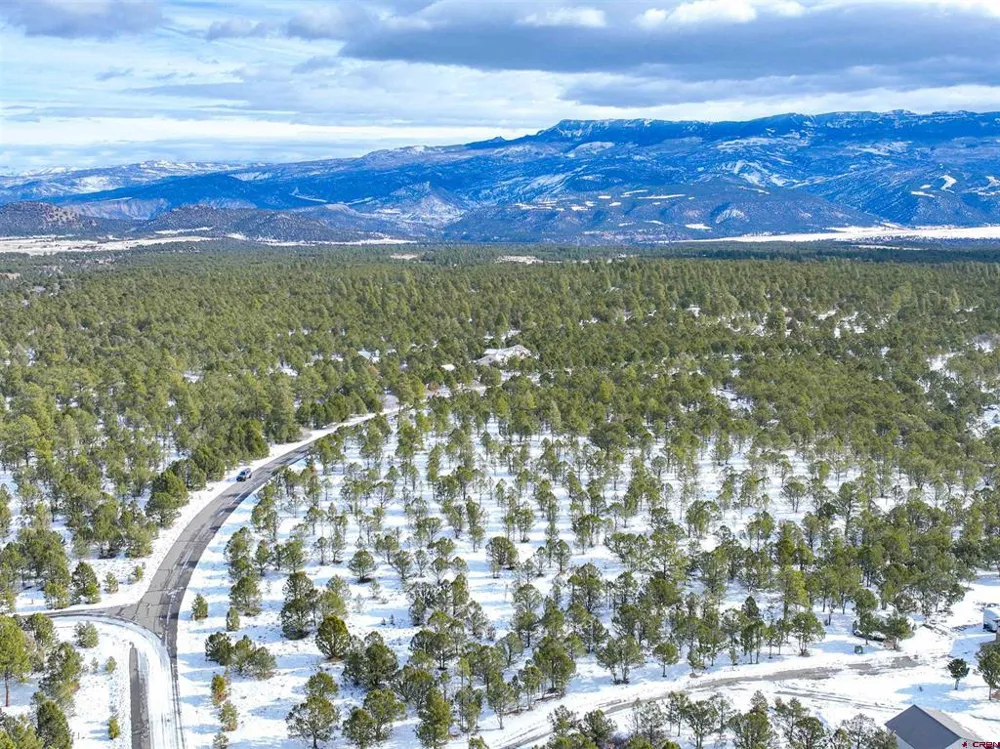 28 Fisher Canyon Drive Ridgway, CO 81432