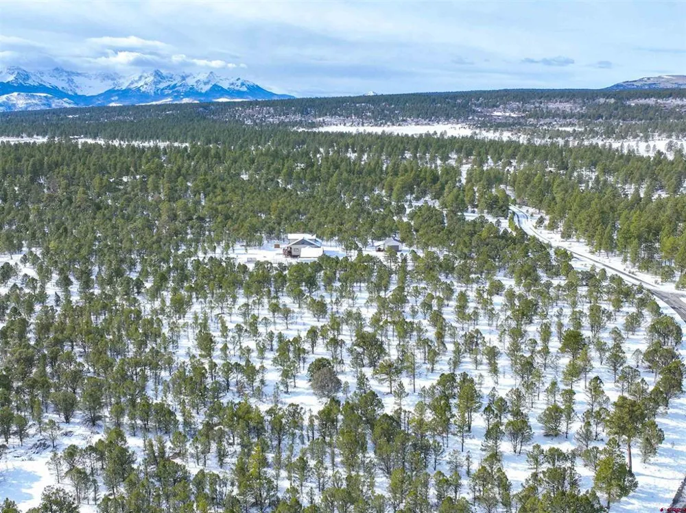 28 Fisher Canyon Drive Ridgway, CO 81432