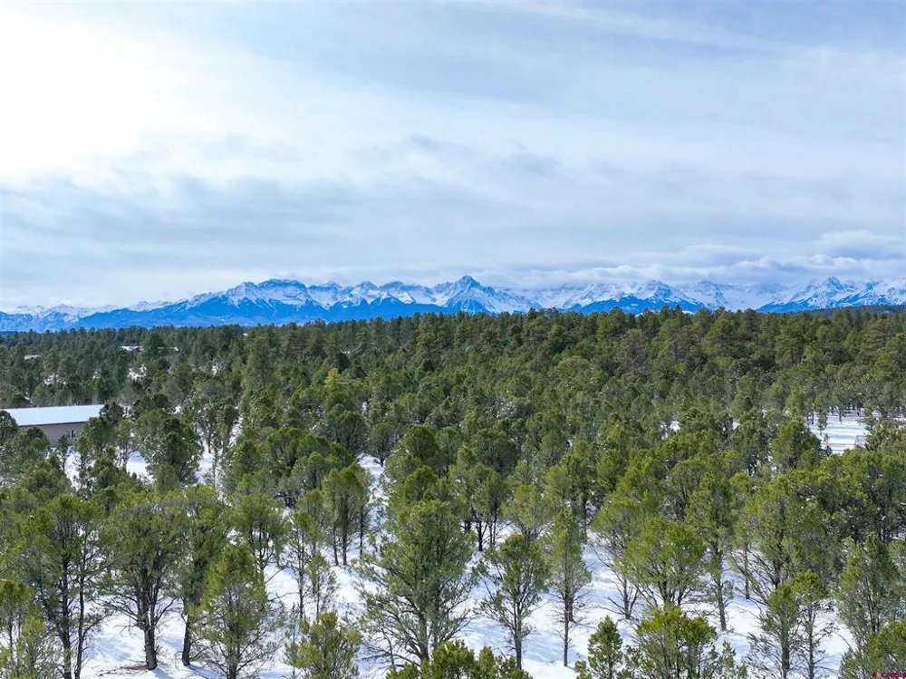 28 Fisher Canyon Drive Ridgway, CO 81432