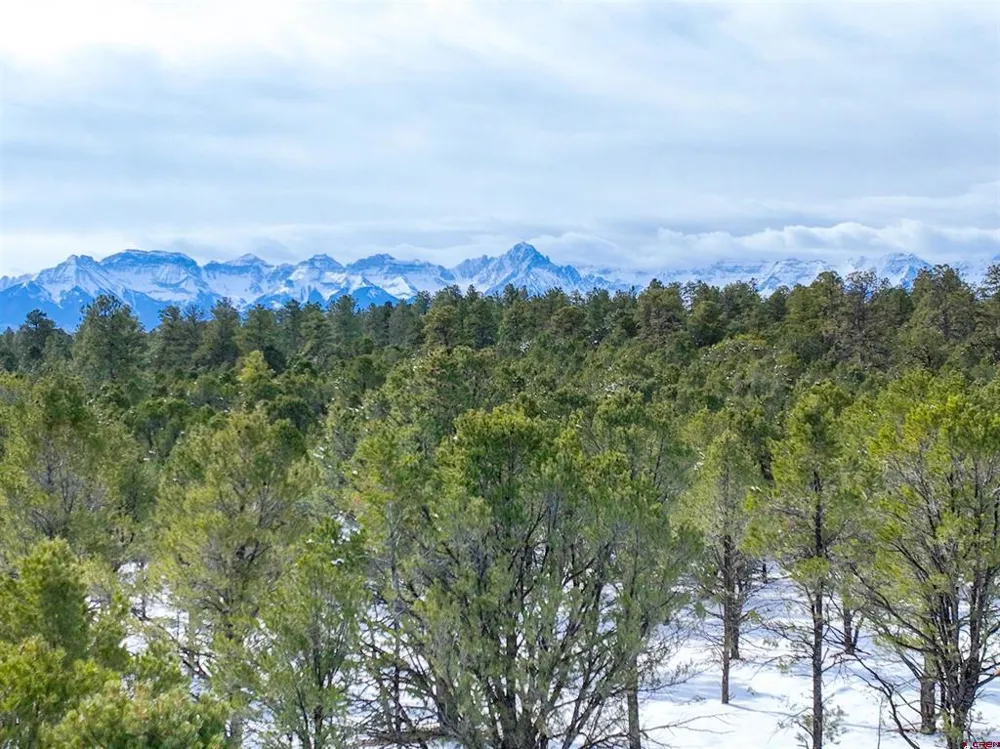 28 Fisher Canyon Drive Ridgway, CO 81432