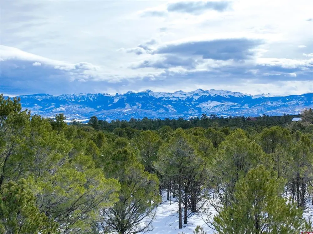 28 Fisher Canyon Drive Ridgway, CO 81432