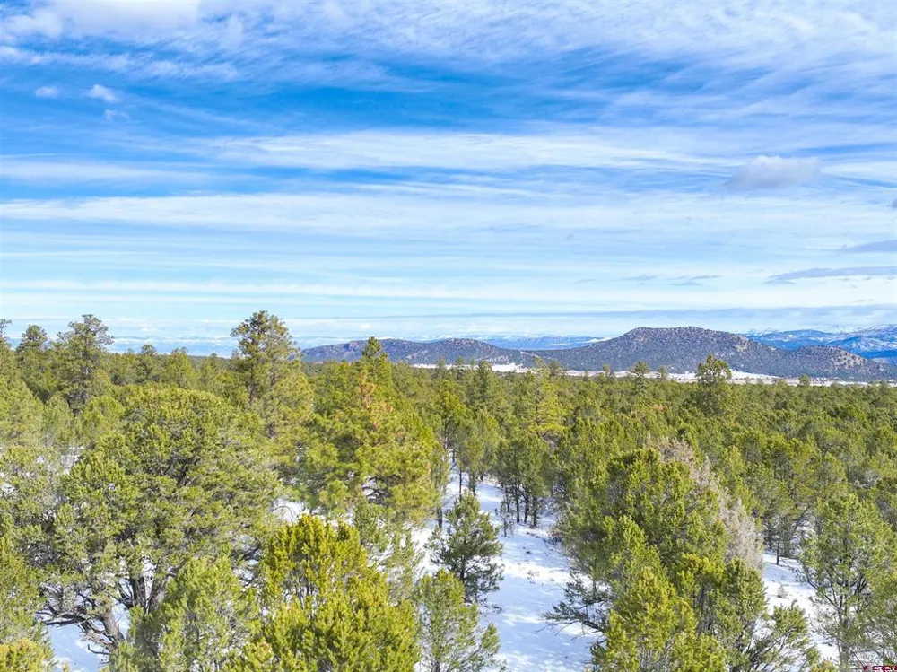 28 Fisher Canyon Drive Ridgway, CO 81432