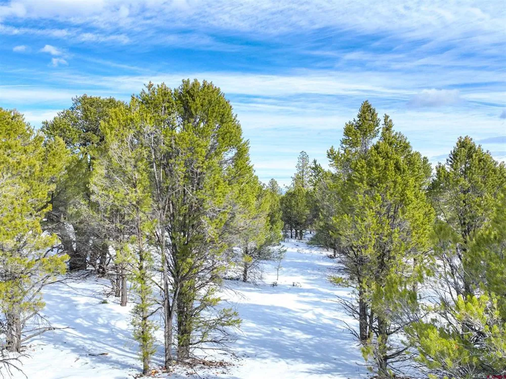 28 Fisher Canyon Drive Ridgway, CO 81432