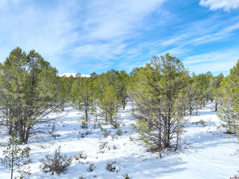 28 Fisher Canyon Drive Ridgway, CO 81432