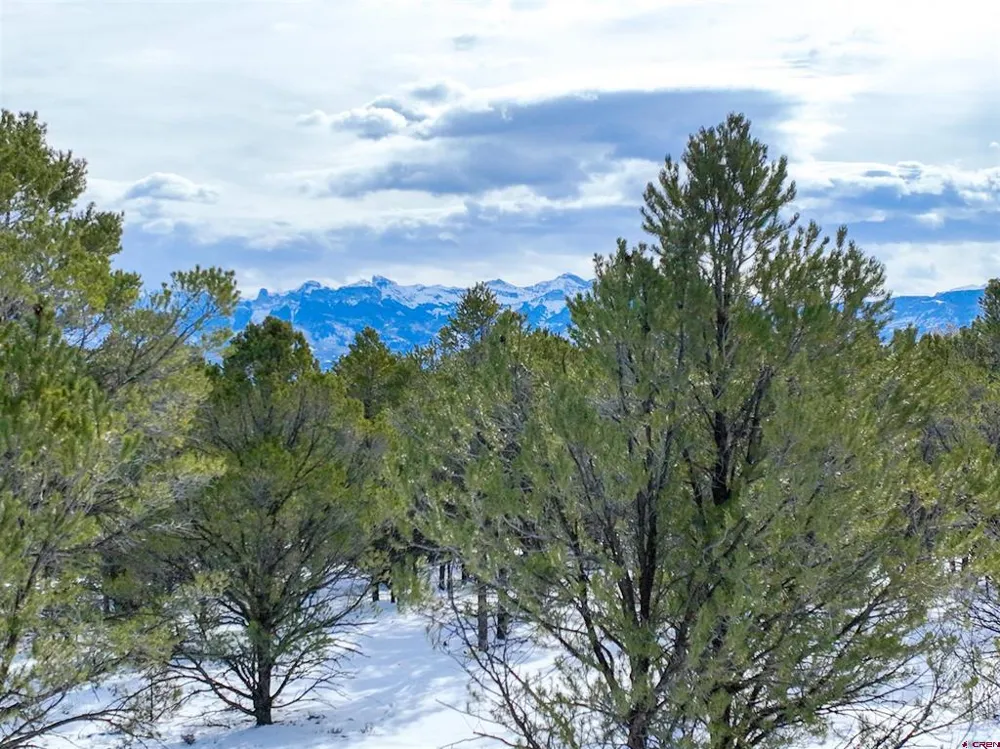 28 Fisher Canyon Drive Ridgway, CO 81432