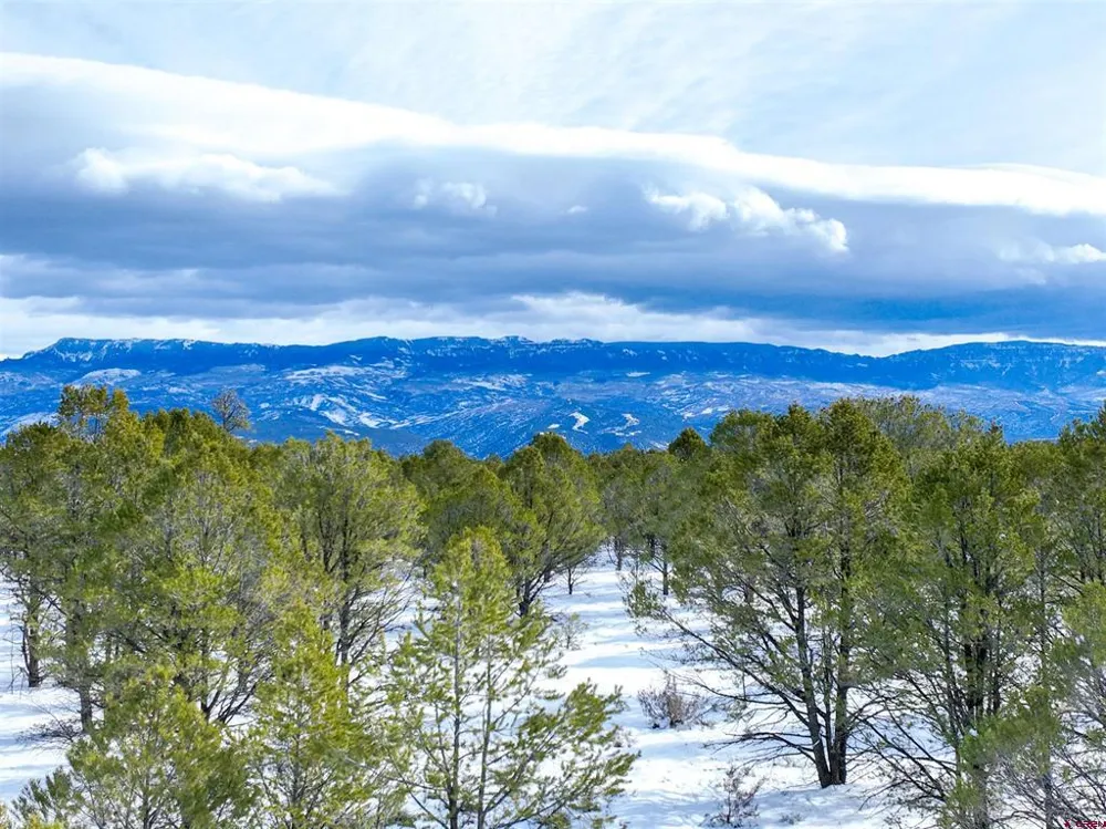 28 Fisher Canyon Drive Ridgway, CO 81432