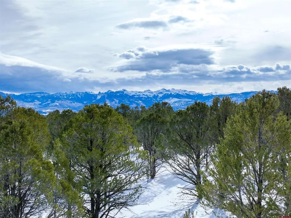 28 Fisher Canyon Drive Ridgway, CO 81432