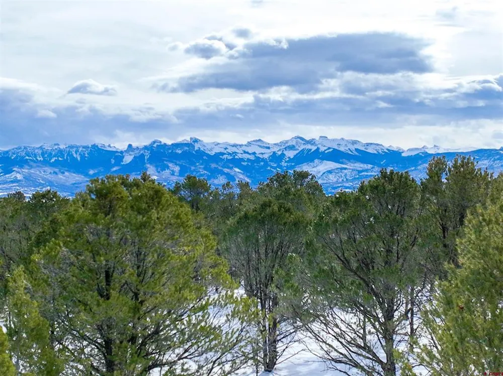 28 Fisher Canyon Drive Ridgway, CO 81432