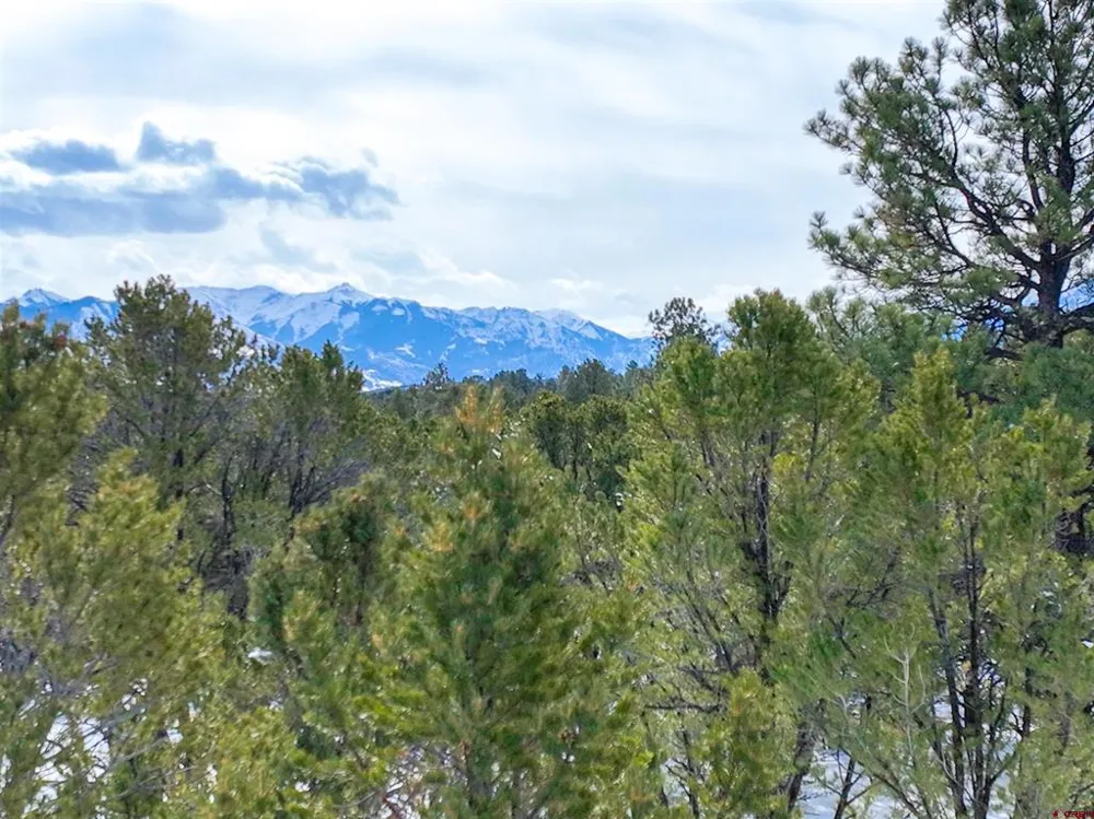 28 Fisher Canyon Drive Ridgway, CO 81432