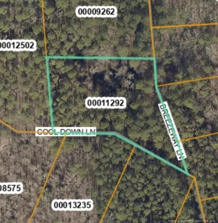 Lot 155 Breezeway Lane Carthage, NC 28327