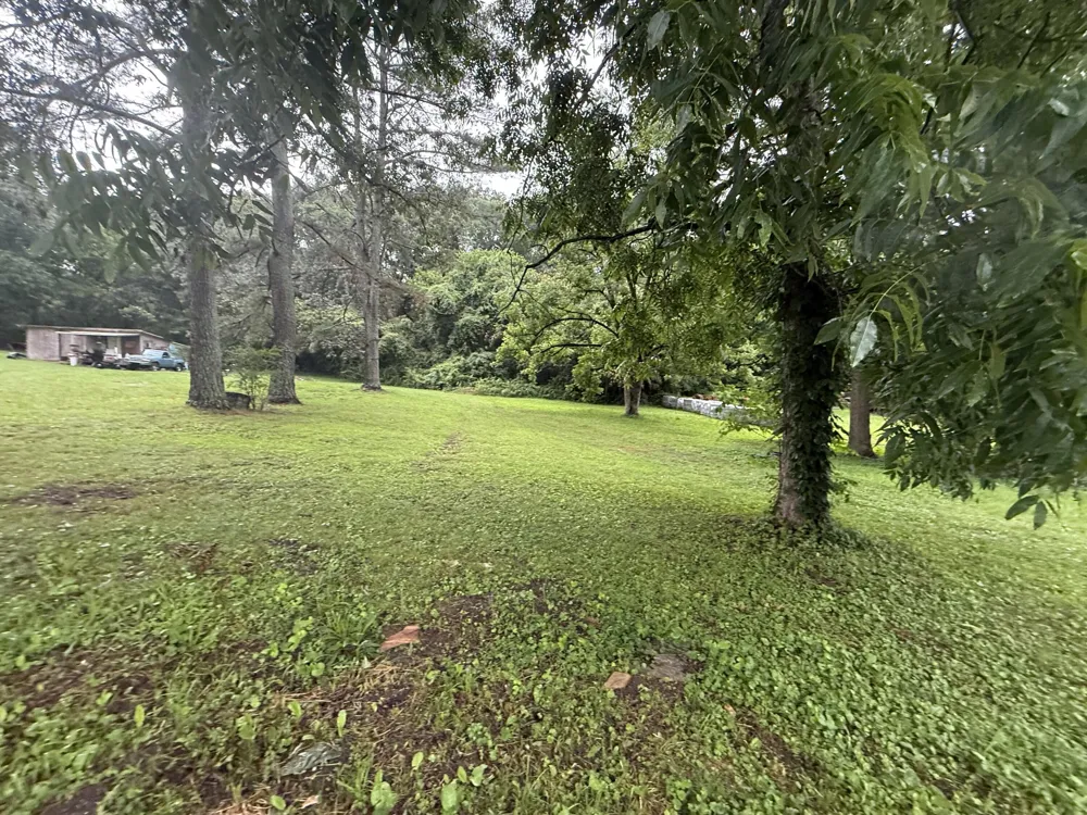 Diamond Avenue Bridgeport, AL 35740
