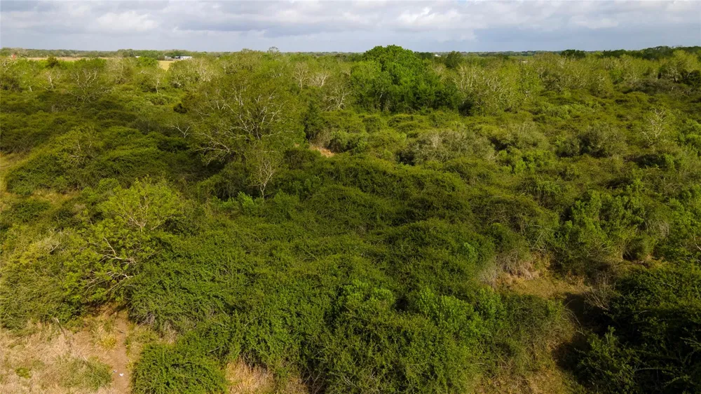 County Road 464 Blessing, TX 77419