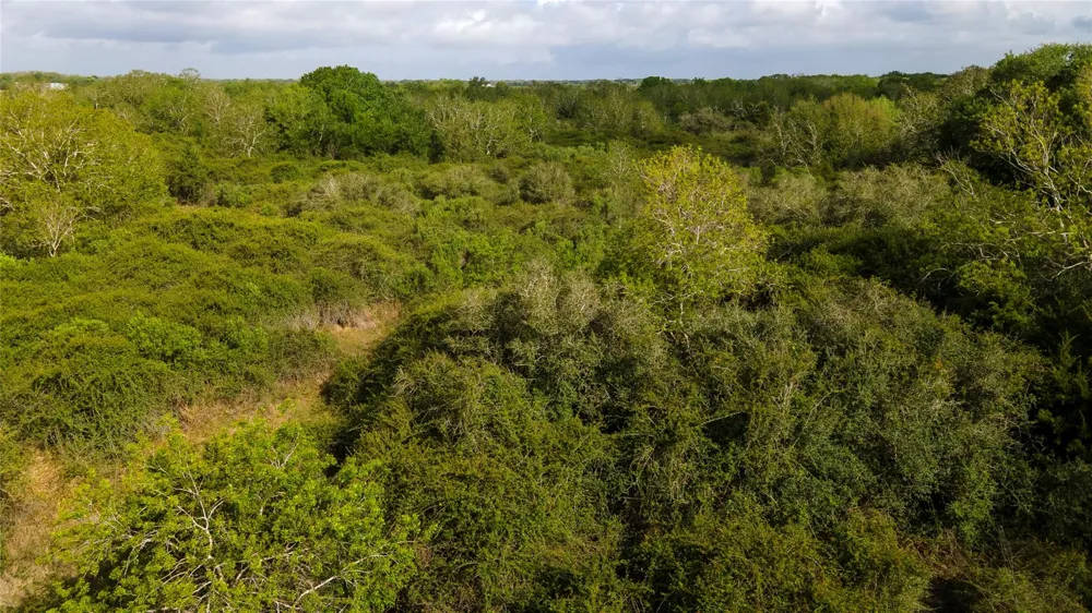 County Road 464 Blessing, TX 77419