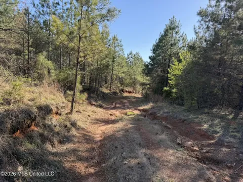 Co Rd 5005