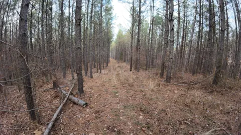 240 Brookstone Dr