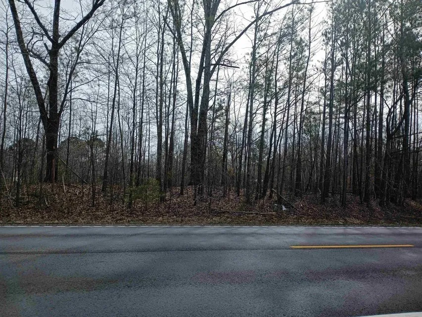 0 Highway 18 Medon, TN 38356