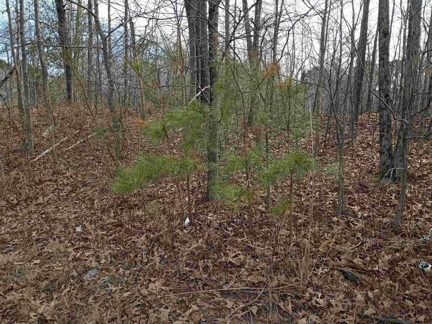 0 Highway 18 Medon, TN 38356