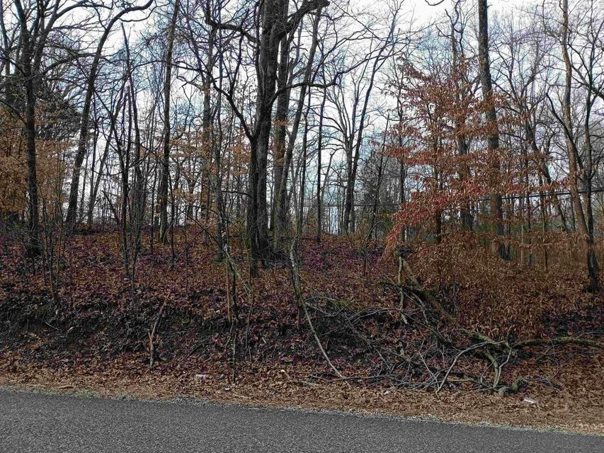 0 Highway 18 Medon, TN 38356