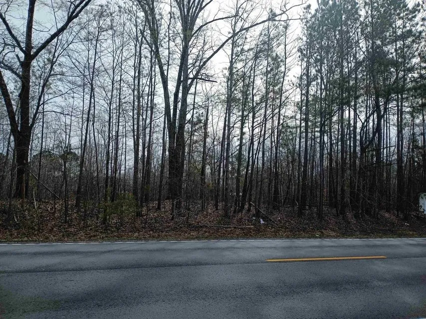 0 Highway 18 Medon, TN 38356