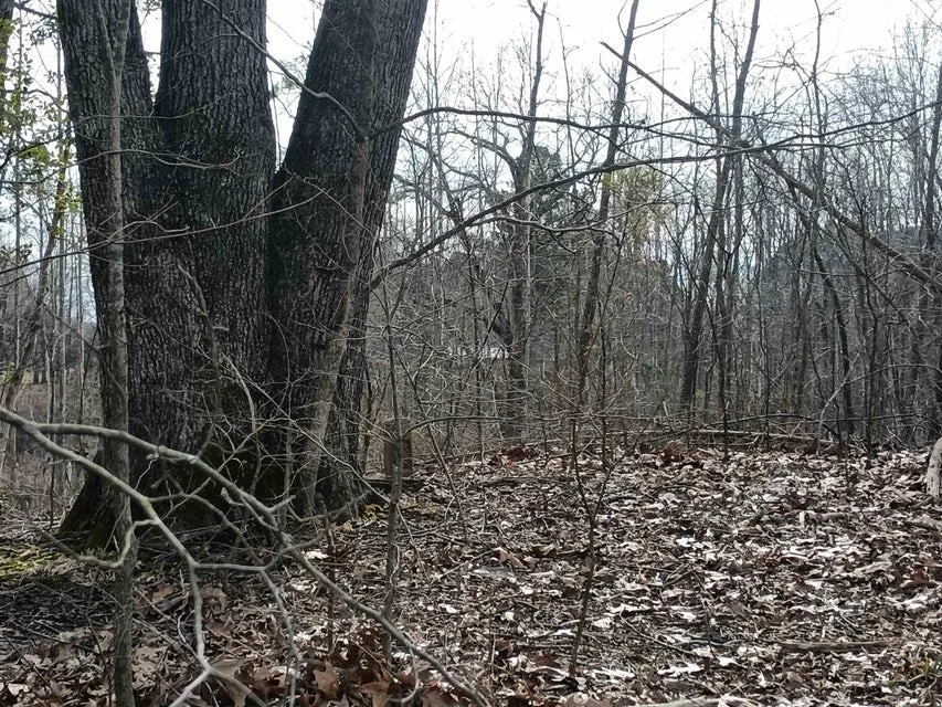 0 Highway 18 Medon, TN 38356