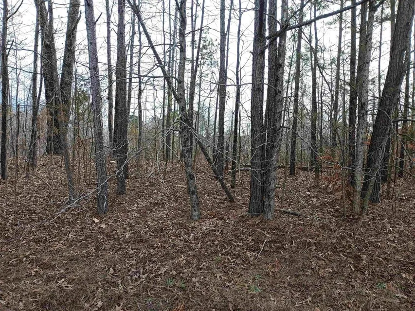 0 Highway 18 Medon, TN 38356