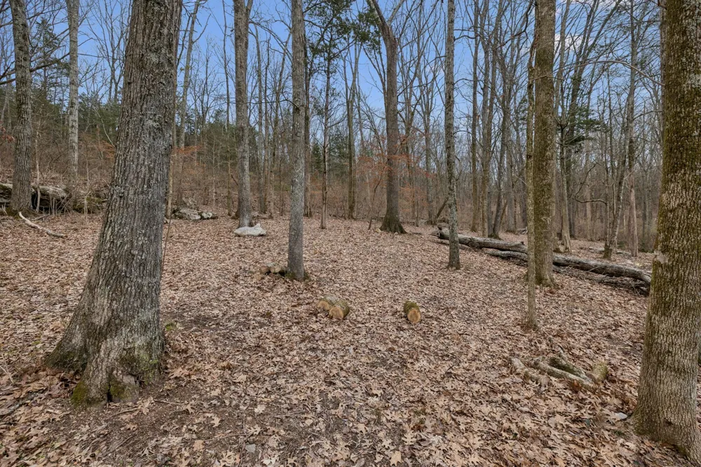 3726 Benders Ferry Rd Mount Juliet, TN 37122