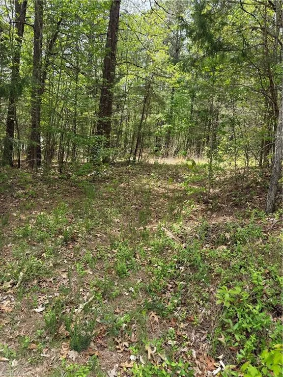 0 Clyde King Road Seagrove, NC 27341