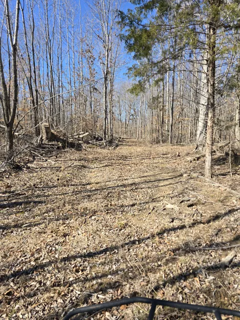 0 Honey Fork Road