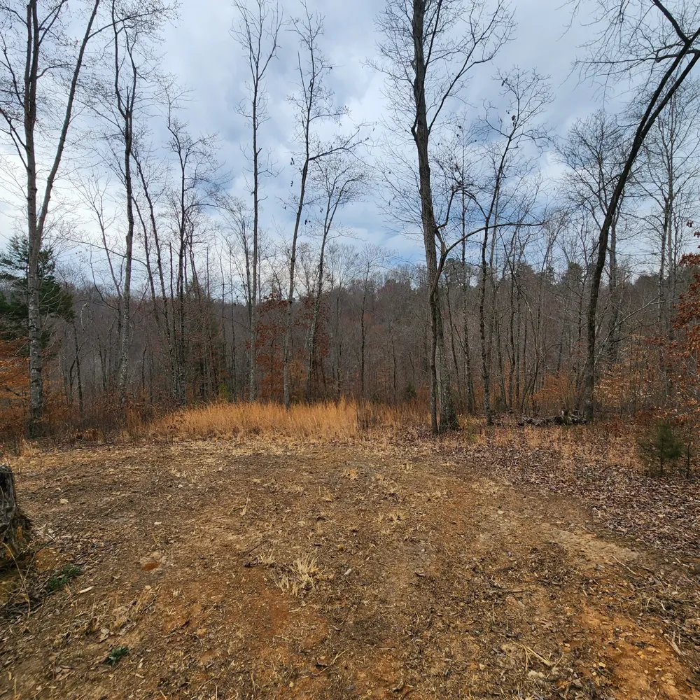 584 Back Bone Rd Sparta, TN 38583