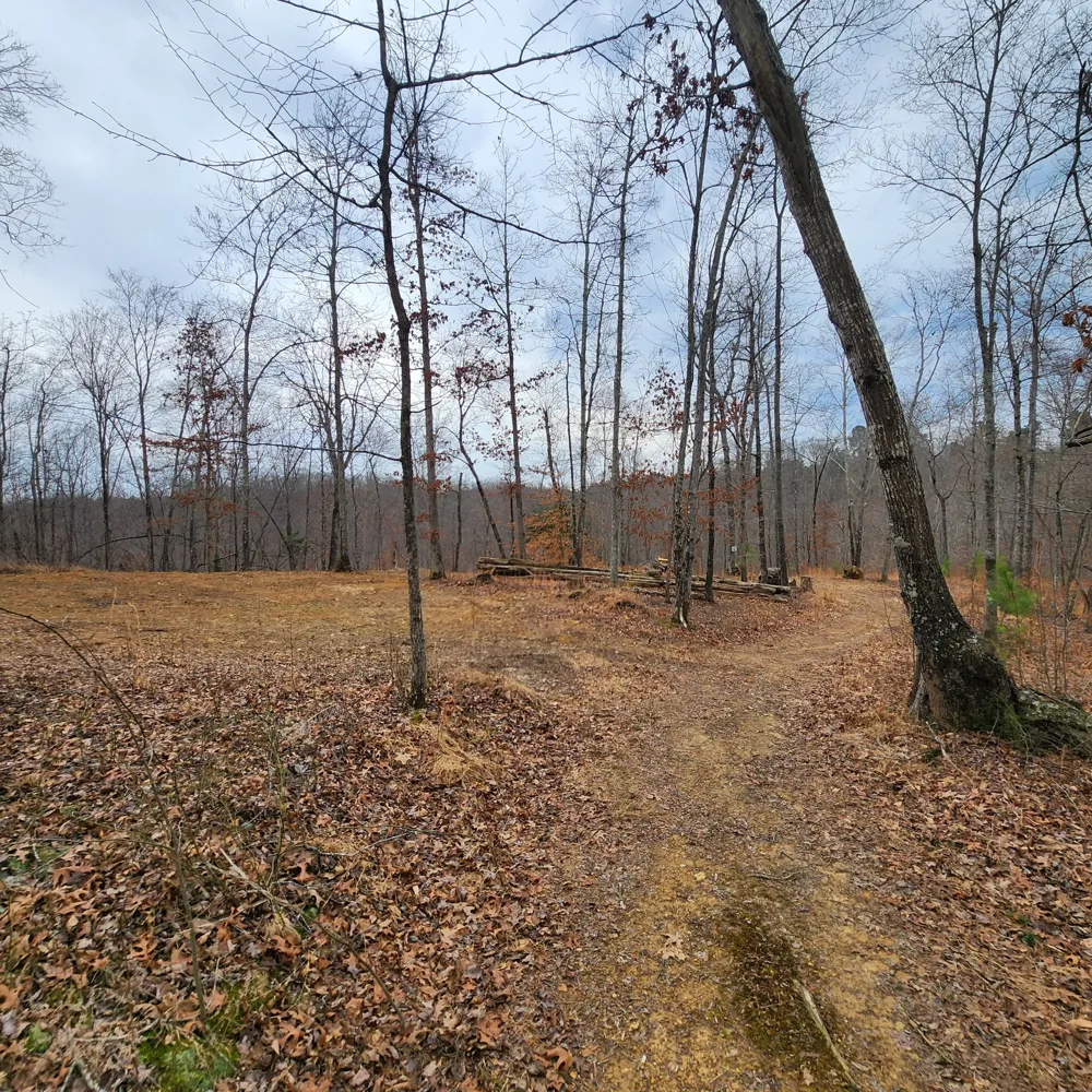 584 Back Bone Rd Sparta, TN 38583