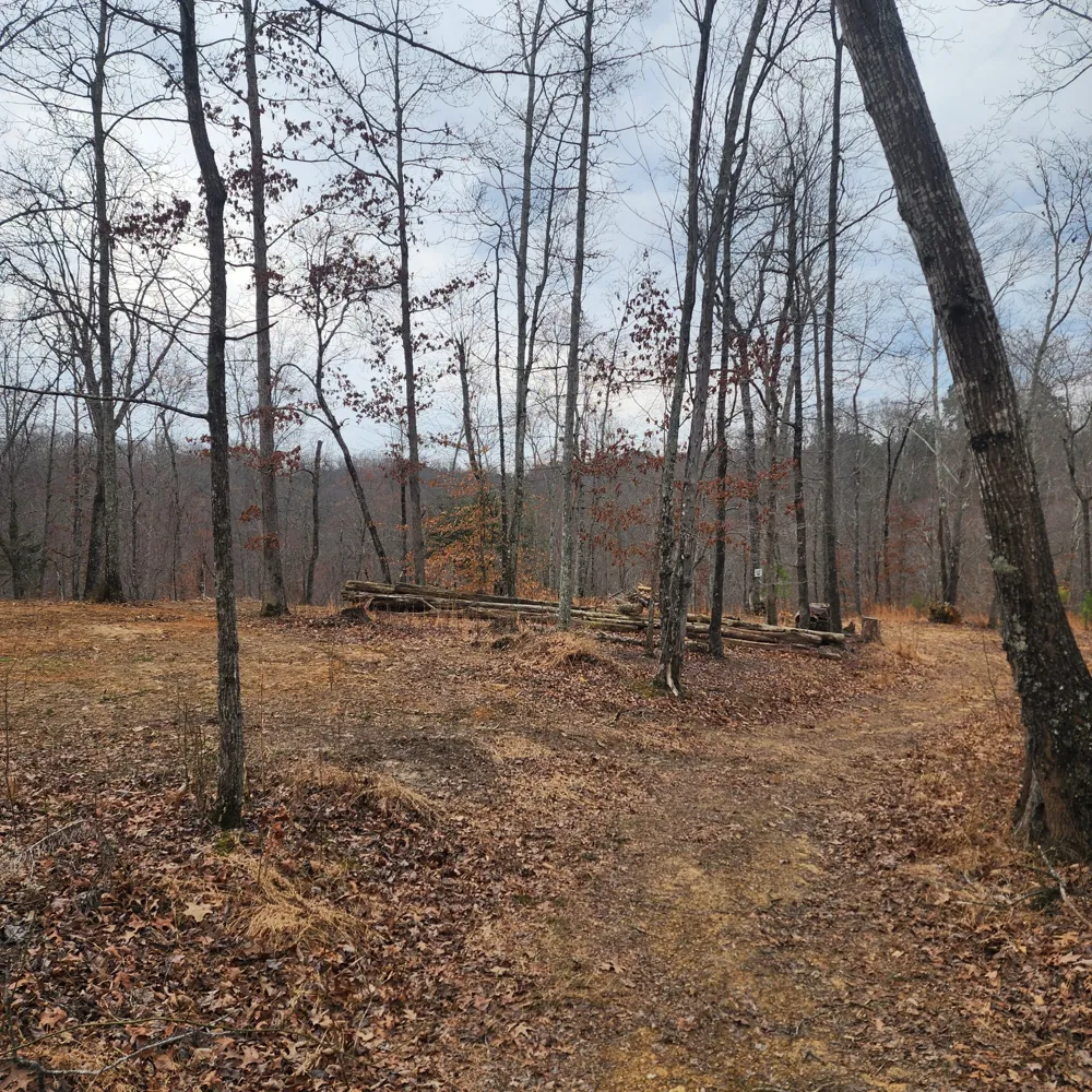 584 Back Bone Rd Sparta, TN 38583