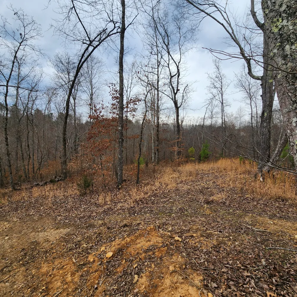 584 Back Bone Rd Sparta, TN 38583