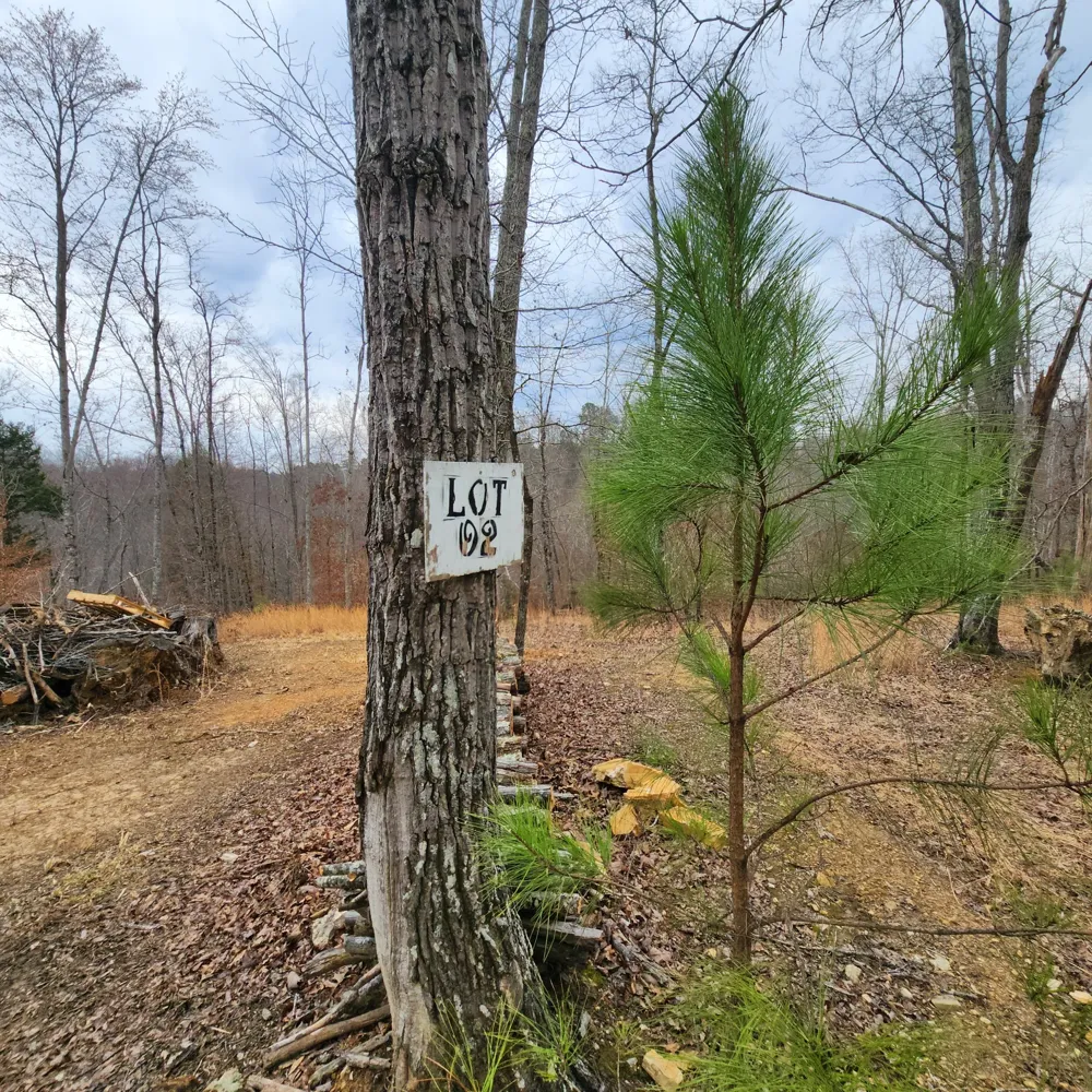 584 Back Bone Rd Sparta, TN 38583