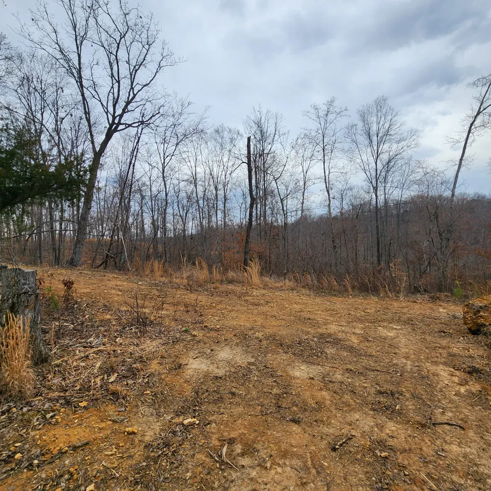 584 Back Bone Rd Sparta, TN 38583