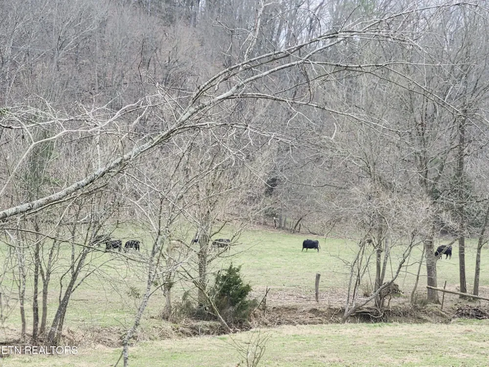 4299 W Andrew Johnson Hwy Greeneville, TN 37745