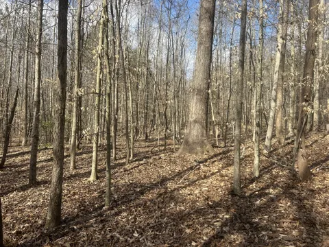 0 Mount Carmel Rd